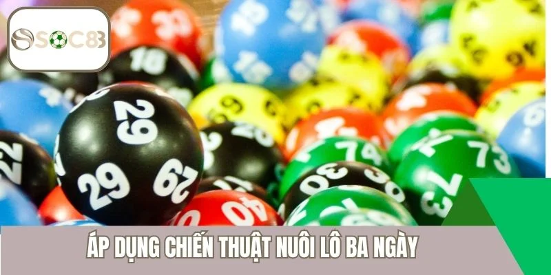 Áp dụng chiến thuật nuôi lô ba ngày