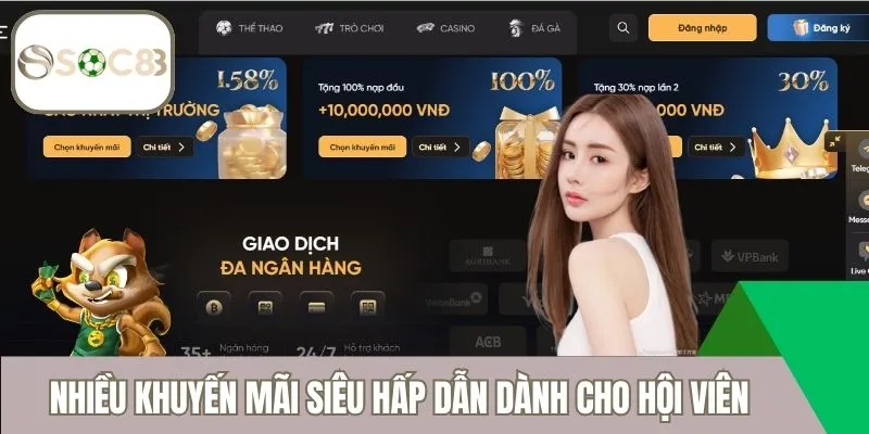 Nhiều khuyến mãi siêu hấp dẫn dành cho hội viên