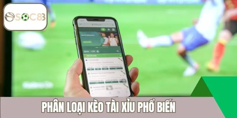 Phân loại kèo tài xỉu phổ biến